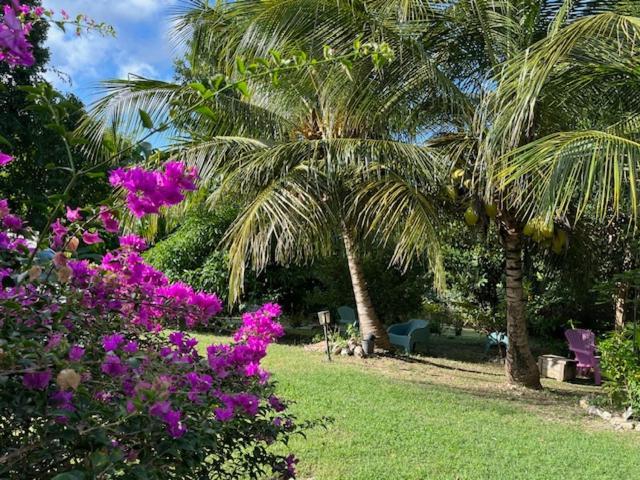 Jardin Des Anges-Bungalows Creoles Et Studio 르 물레 외부 사진