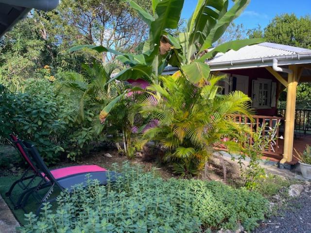 Jardin Des Anges-Bungalows Creoles Et Studio 르 물레 외부 사진